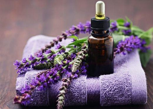 B&igrave;nh xịt khử m&ugrave;i h&ocirc;i nh&agrave; vệ sinh