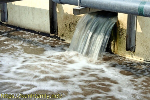 xử l&yacute; nước thải sinh hoạt