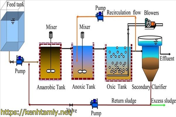 xử l&yacute; nước thải sinh hoạt bằng c&ocirc;ng nghệ AAO