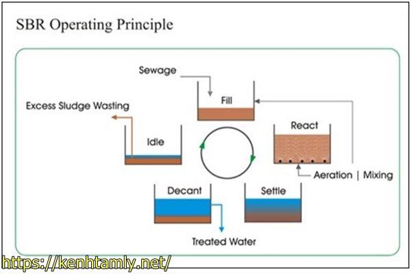 xử l&yacute; nước thải sinh hoạt bằng c&ocirc;ng nghệ SBR