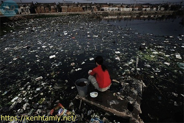 nước thải sinh hoạt ảnh hưởng đến con người