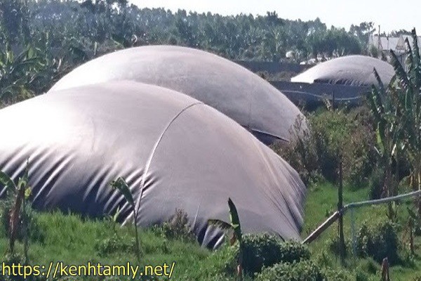 xử l&yacute; r&aacute;c thải n&ocirc;ng nghiệp bằng hầm biogas