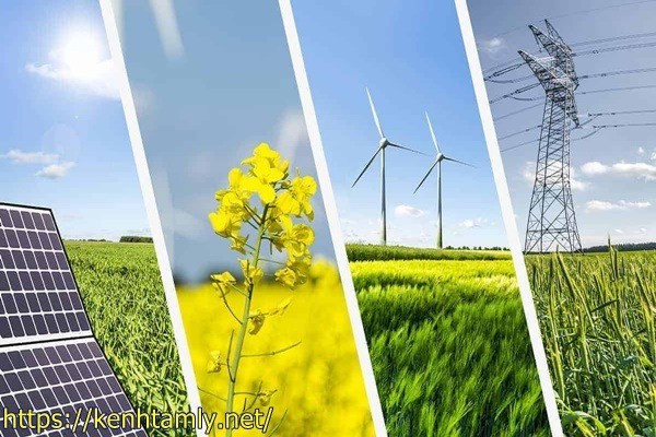 xử l&yacute; r&aacute;c thải n&ocirc;ng nghiệp bằng năng lượng t&aacute;i tạo