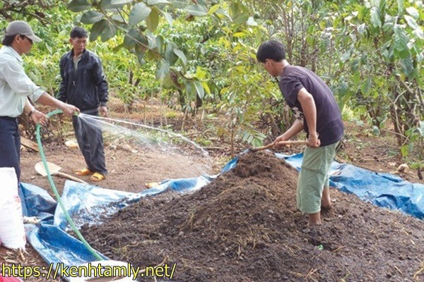 xử l&yacute; r&aacute;c thải n&ocirc;ng nghiệp bằng c&aacute;ch ủ ph&acirc;n