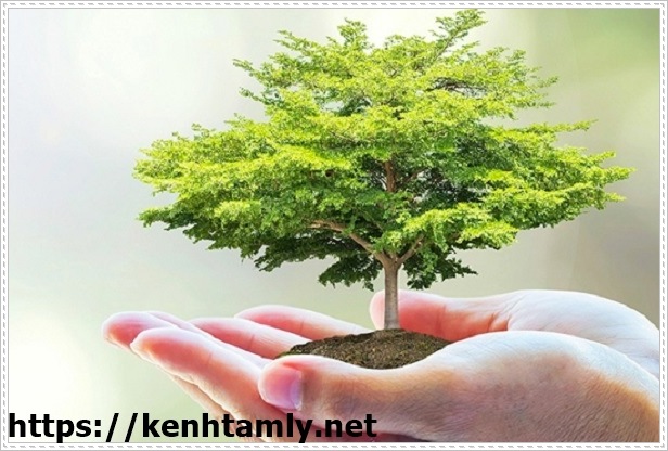bảo vệ m&ocirc;i trường như thế n&agrave;o l&agrave; đ&uacute;ng c&aacute;ch?