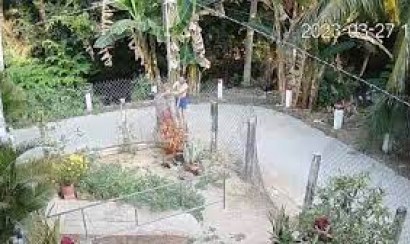 Clip người đàn ông đập đầu phụ nữ đến chết tại Tiền Giang