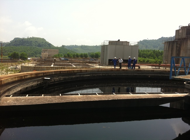 Hướng dẫn nu&ocirc;i b&ugrave;n vi sinh