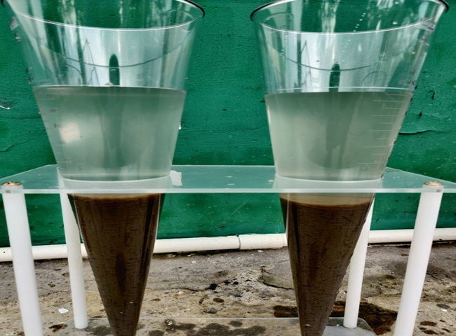 Quy tr&igrave;nh nu&ocirc;i b&ugrave;n vi sinh đ&uacute;ng kỹ thuật