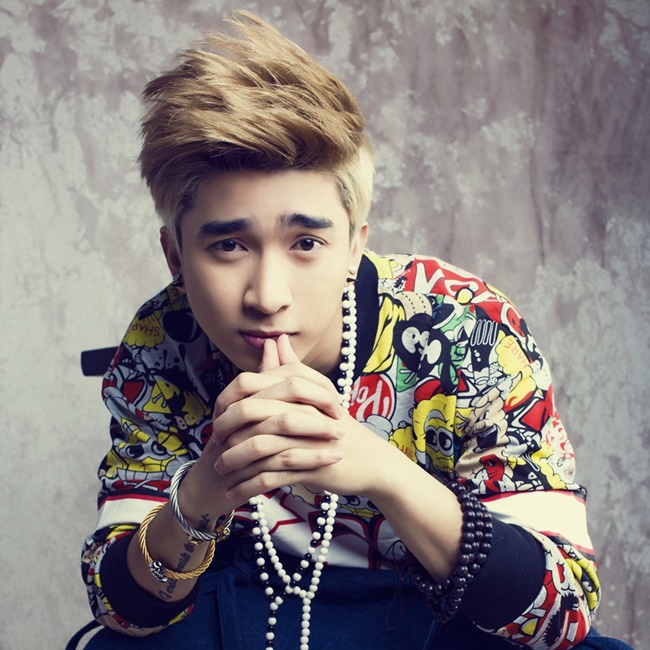 ca sĩ Chi D&acirc;n giọng h&aacute;t