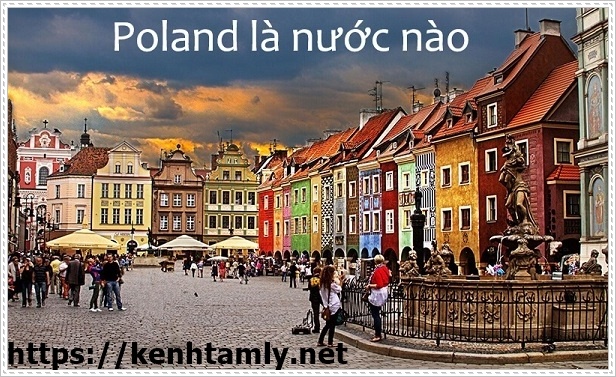 cơ hội việc l&agrave;m tiếng Ba Lan khi th&agrave;nh thạo ng&ocirc;n ngữ n&agrave;y