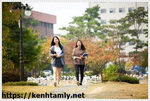 học tiếng H&agrave;n miễn ph&iacute; bằng phần mềm dịch tiếng H&agrave;n