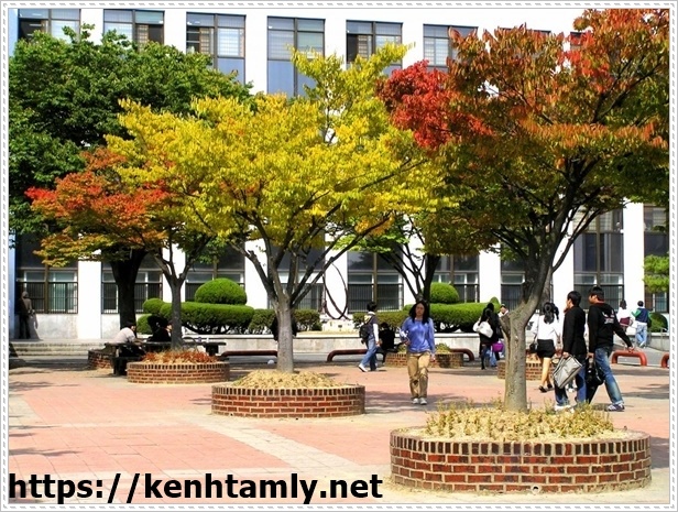 Lựa chọn kh&oacute;a học tiếng H&agrave;n giao tiếp cơ bản ph&ugrave; hợp