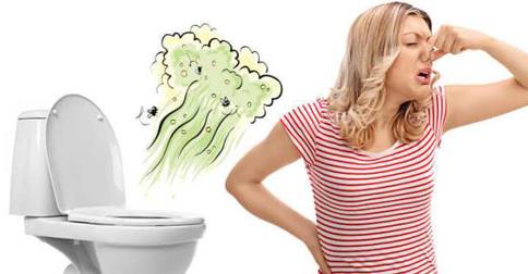 bồn cầu bị nghẹt g&acirc;y ra m&ugrave;i h&ocirc;i kh&oacute; chịu
