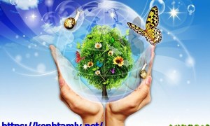 Nguyên nhân, biện pháp khắc phục vấn đề ô nhiễm môi trường