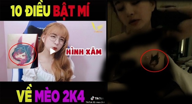 clip Mèo 2k4 1
