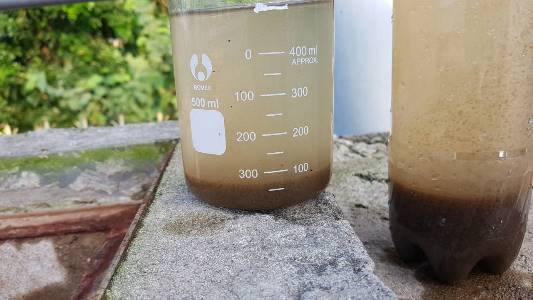 c&aacute;ch kiểm tra b&ugrave;n vi sinh đạt chuẩn